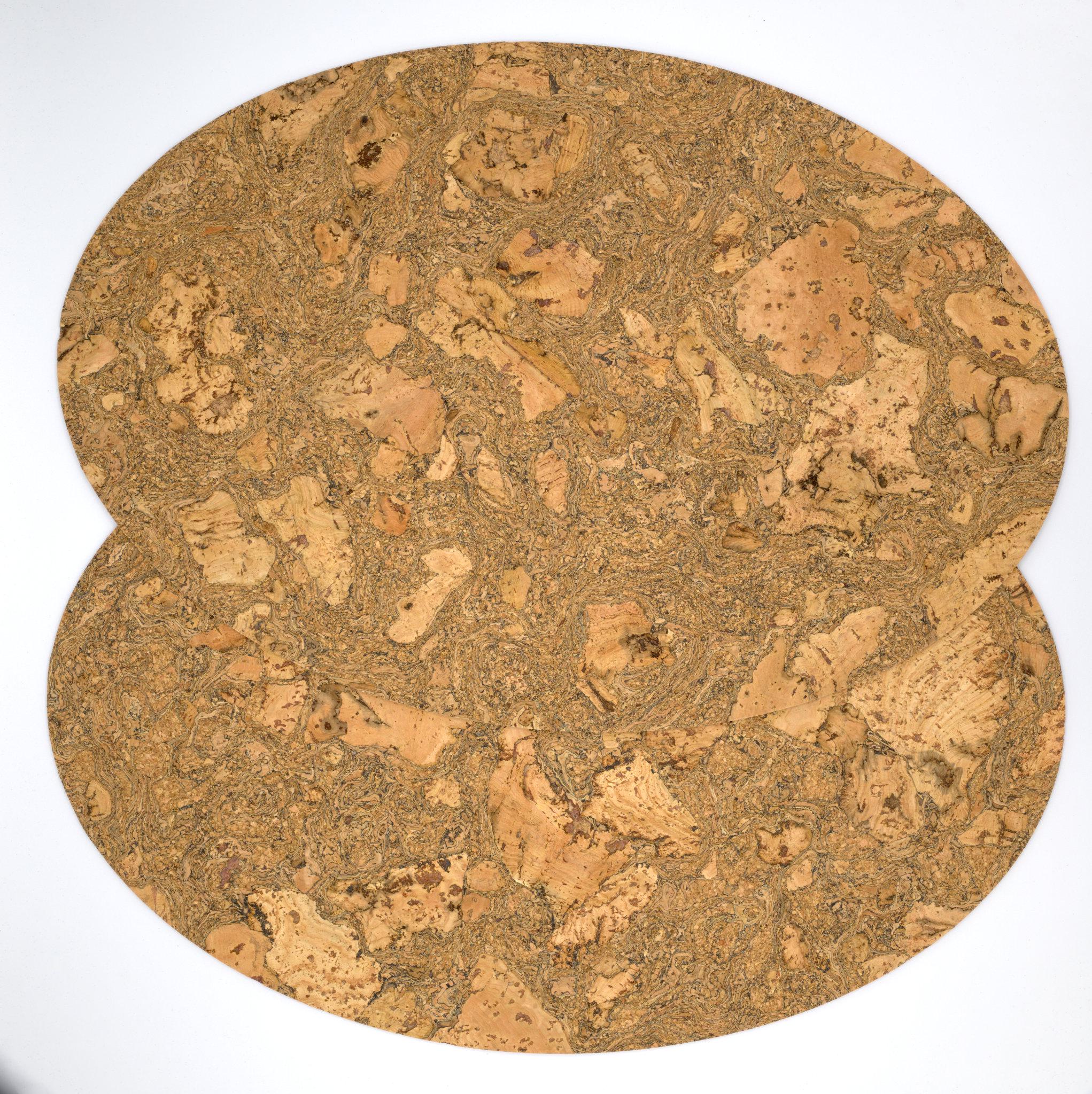 Graphic Bark-Peel Cork Placemats-Set/2