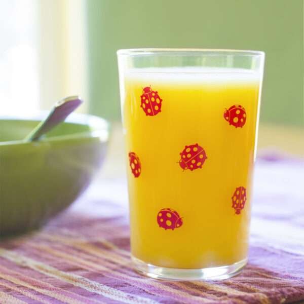 37926-A-7oz ladybug print vintage juice glass by dte from hem and tassel