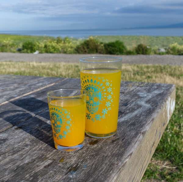 7oz and 16oz Skull glass blue on a park table with juice inside
