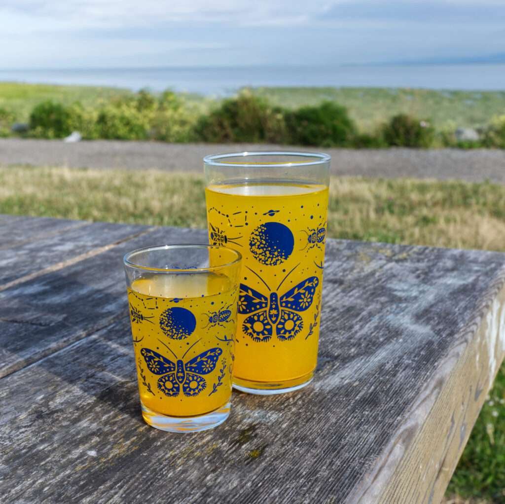 7oz and 16oz moon moth glasses on a park table with juice inside