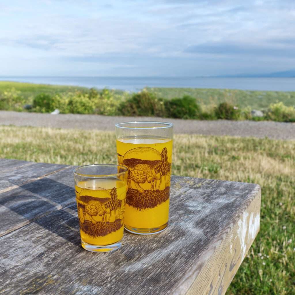7oz and 16oz mushroom hill glasses on a park table with juice inside