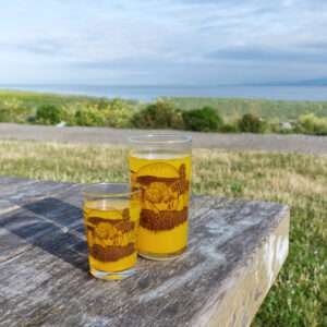 7oz and 16oz mushroom hill glasses on a park table with juice inside