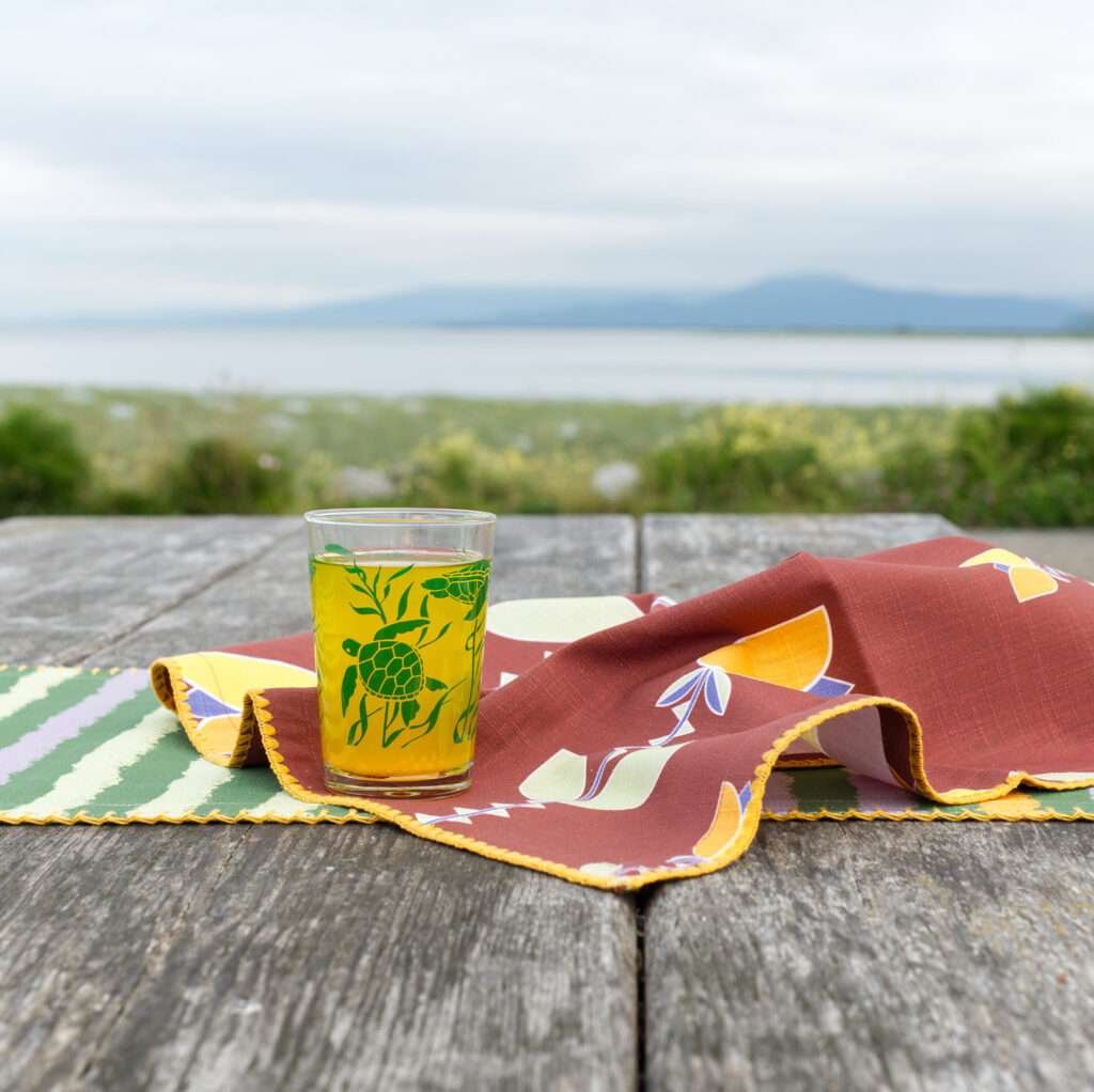 7oz iris sea turtles on a park table with juice inside