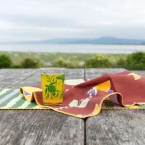 7oz iris sea turtles on a park table with juice inside