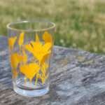 7oz poppies glass orange on a park table with juice inside