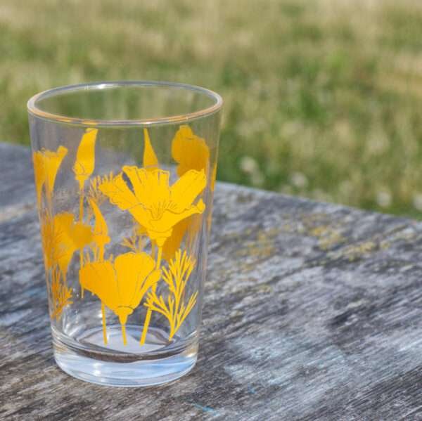7oz poppies glass orange on a park table with juice inside